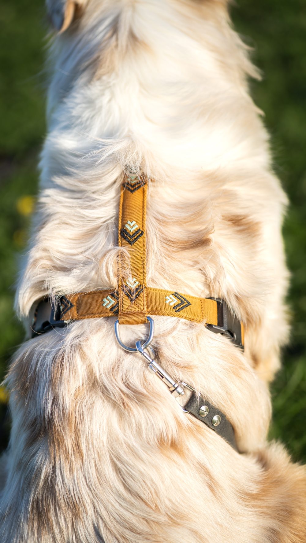 Woolly Wolf - Sea to Summit Sele - Bilde 2