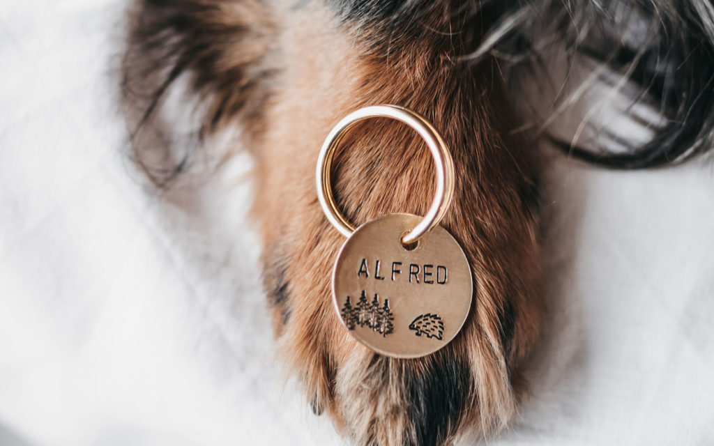 pet-tags-alfred