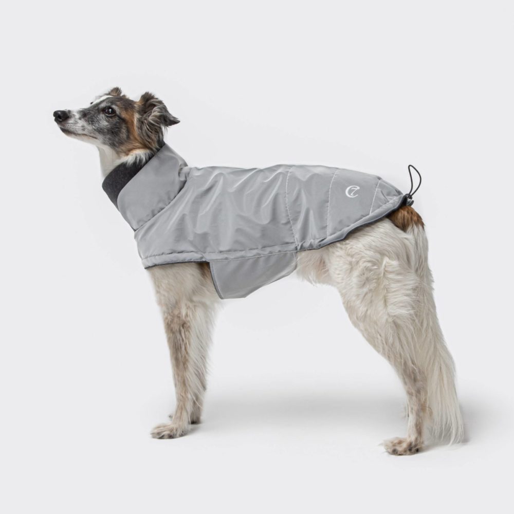 cloud7-dog-coat-brooklyn-reflective-dog-1